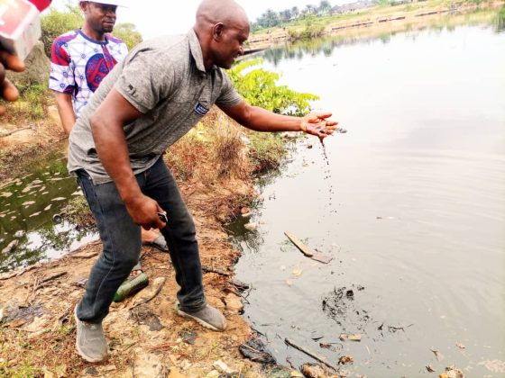 Oil spillage for Aleto Rivers state